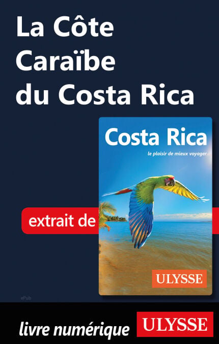 media/pim/63_600af024-d0c7-4e62-bdac-eee332ca746e.jpeg