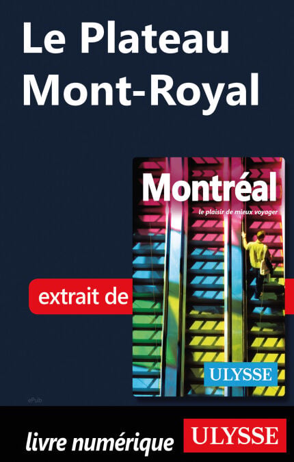 media/pim/63_a06d709c-766c-4007-b426-085e7e4305ec.jpeg