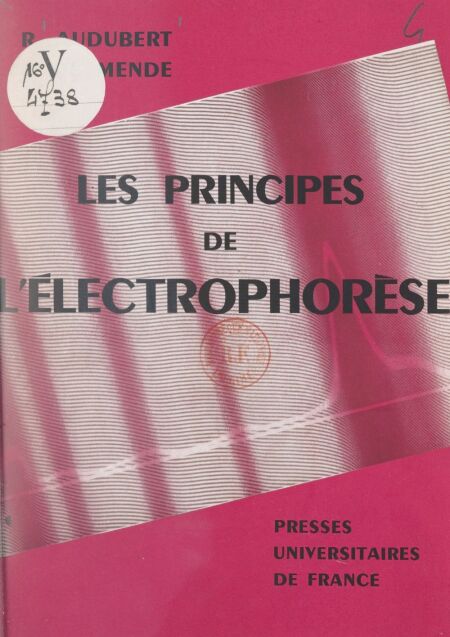 media/pim/63_a46a8ed8-da99-49ad-820c-87c9622069f8.jpeg