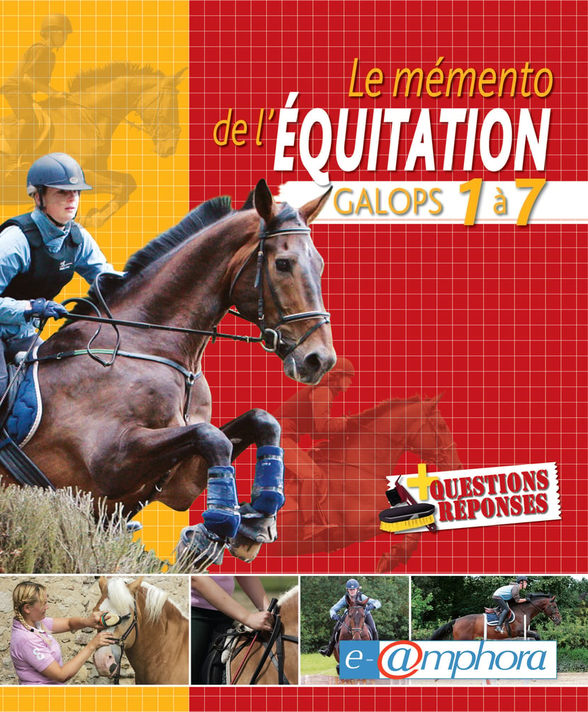 Les fondamentaux de l'équitation - Galops 1 à 4