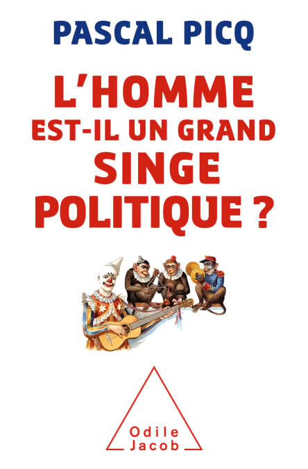 media/pim/64_04de6fa3-c8eb-4f75-9b41-6656fca95fdc.jpeg