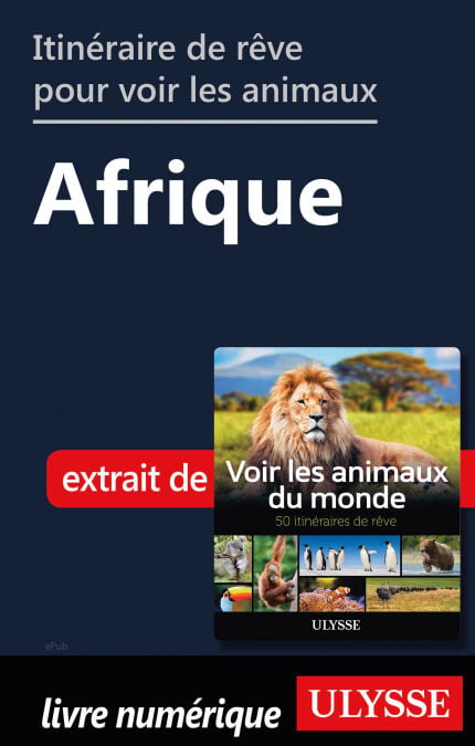 media/pim/64_957ea59c-0c72-4a83-a85a-ee452a33a2c8.jpeg