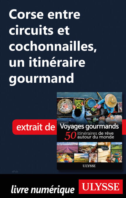 media/pim/64_fdb45fe6-7707-46d4-a41e-eb762c7d0978.jpeg