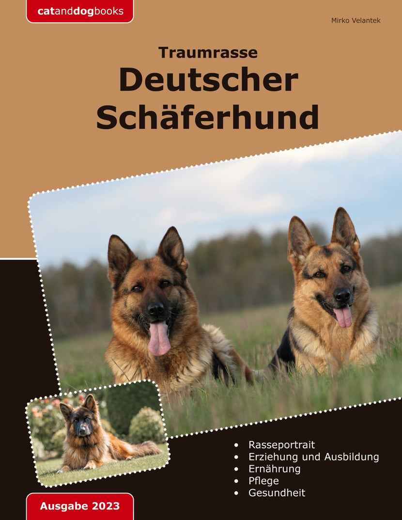 media/pim/64_metadata-image-73841142.jpeg