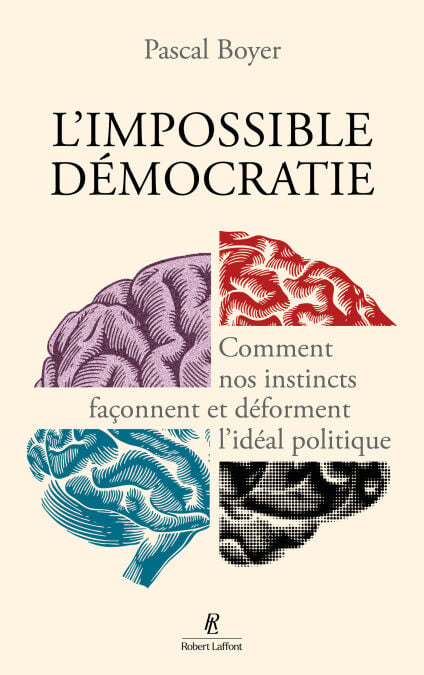 media/pim/65_c8c24a78-89b2-4c77-9f0f-3c680f5a6e74.jpeg