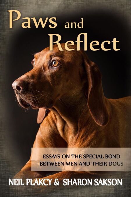 media/pim/66_ca0d71c2-6dd5-4c13-81ab-4d8084e9a426.jpeg