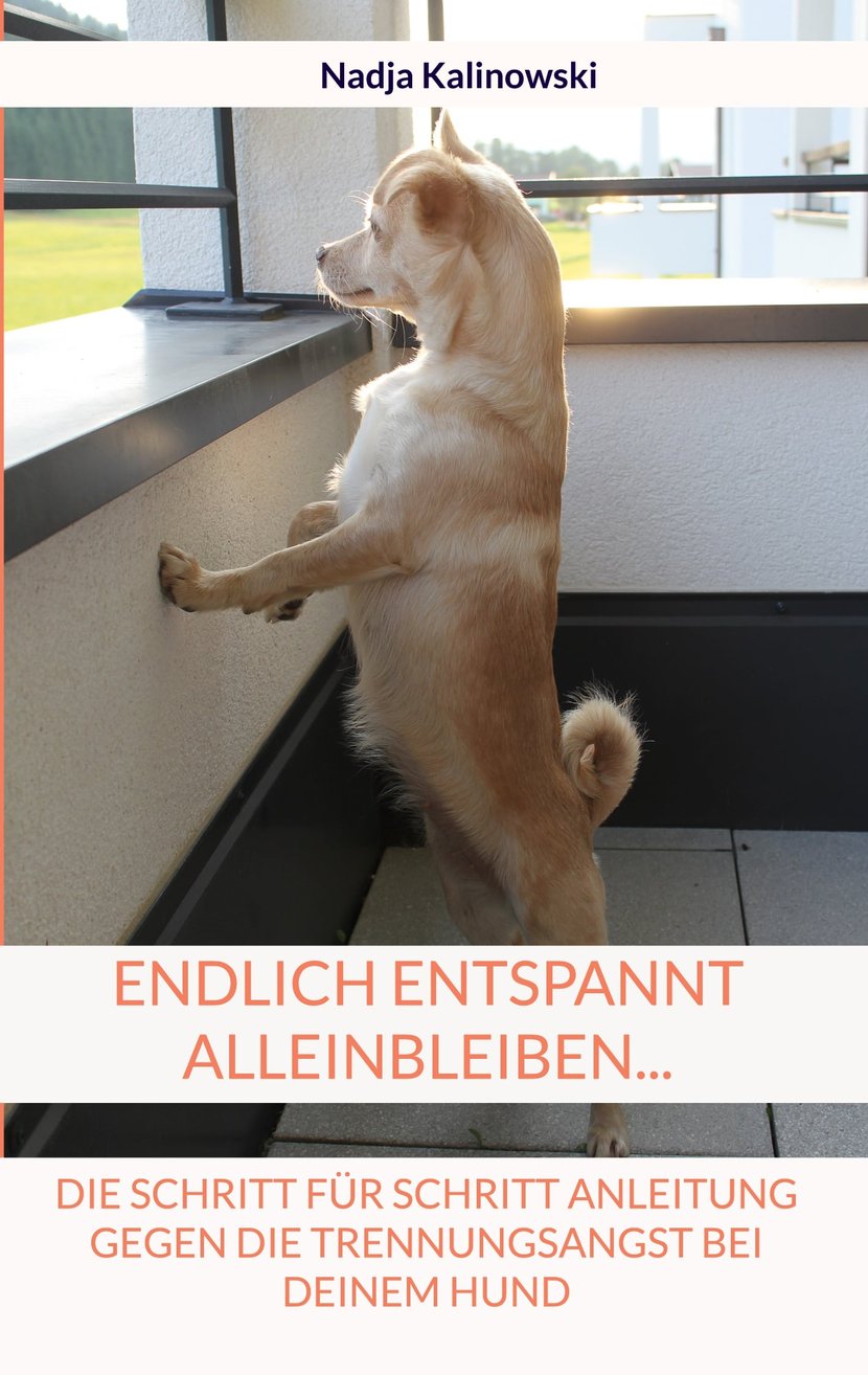 media/pim/66_metadata-image-61191341.jpeg