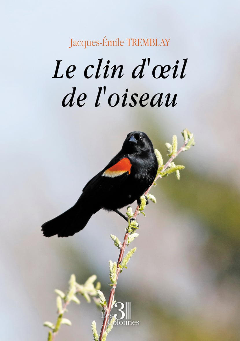media/pim/66_metadata-image-71759075.png