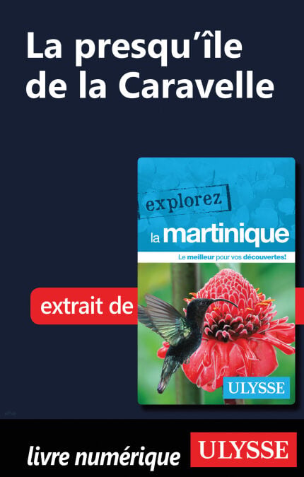 media/pim/67_11f44145-e9d7-4095-beda-8e571ad5735c.jpeg