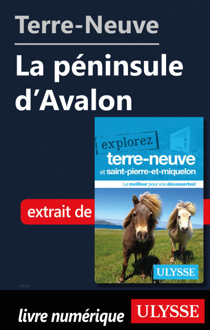 media/pim/67_e404026a-2cc1-4023-9a0b-9de5d8906652.jpeg