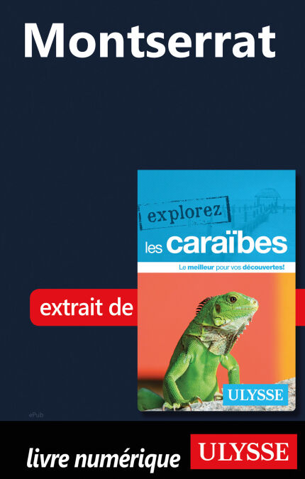 media/pim/67_f7152832-1037-4cce-a45c-cc8d41a34b00.jpeg