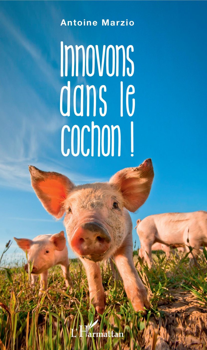 media/pim/67_metadata-image-26143711.jpeg