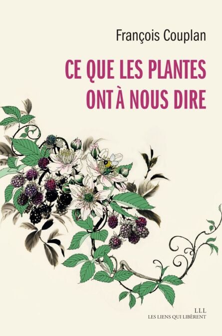 media/pim/68_070bb1c2-db8a-4f76-a74d-7cbc22d56027.jpeg