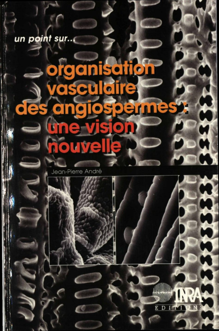 media/pim/68_945f9caa-0f6c-4497-822a-3bdd67e4e270.jpeg