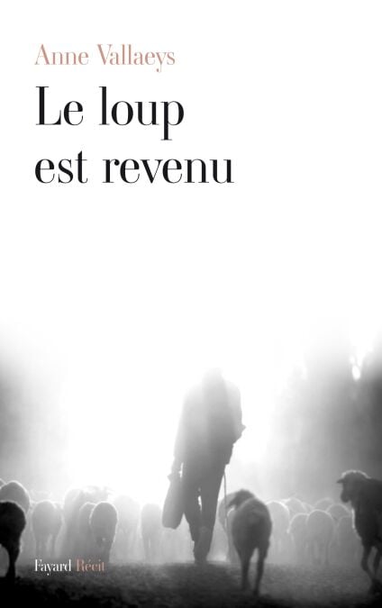 media/pim/68_e82836ff-f456-4749-ac8a-e39802d24578.jpeg