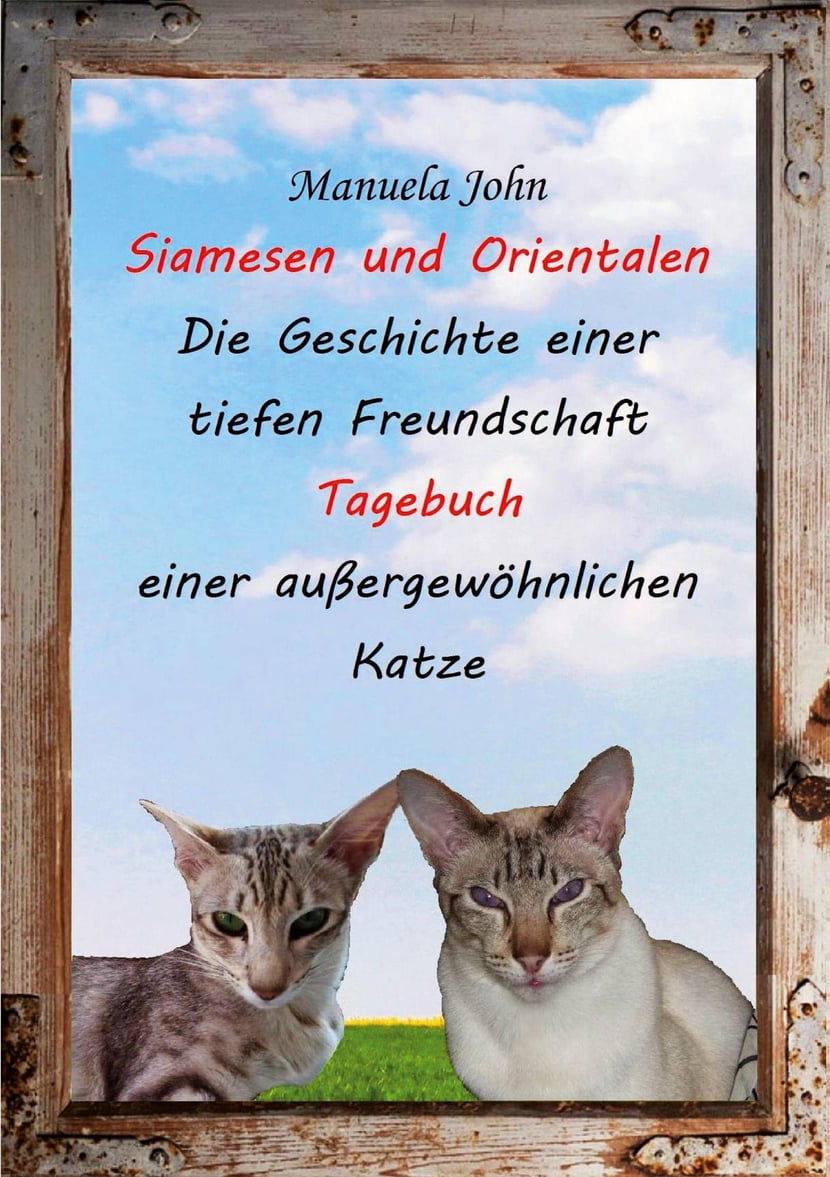 media/pim/68_metadata-image-66208106.jpeg