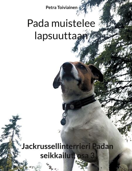 media/pim/69_b0a03a71-8d47-4330-877e-74033c8973b0.jpeg