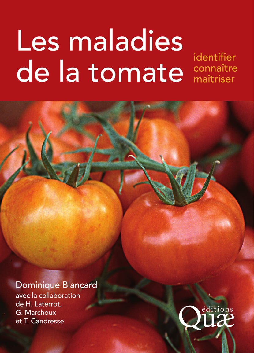 media/pim/69_metadata-image-656187.png