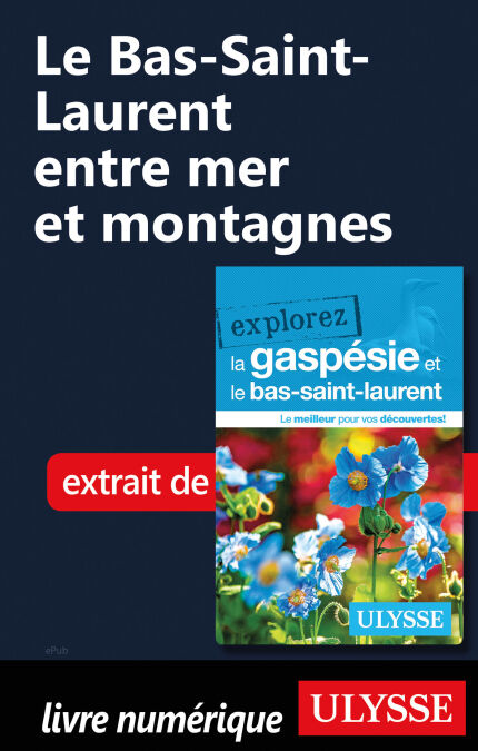 media/pim/6_1d9042a1-e6e6-4d66-975f-c3c64bf8fd46.jpeg