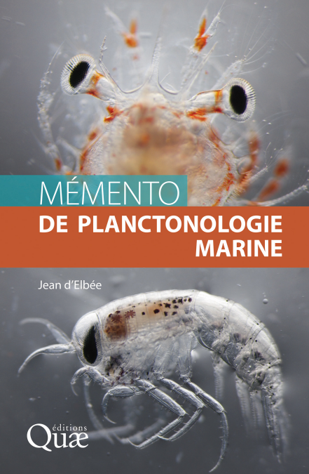 media/pim/6_2362720e-a3d6-4361-8c8c-230d35b86039.jpeg