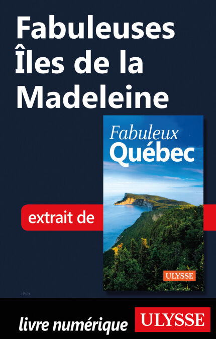 media/pim/6_42e35bc0-817d-48ef-b316-f5453205cd6c.jpeg