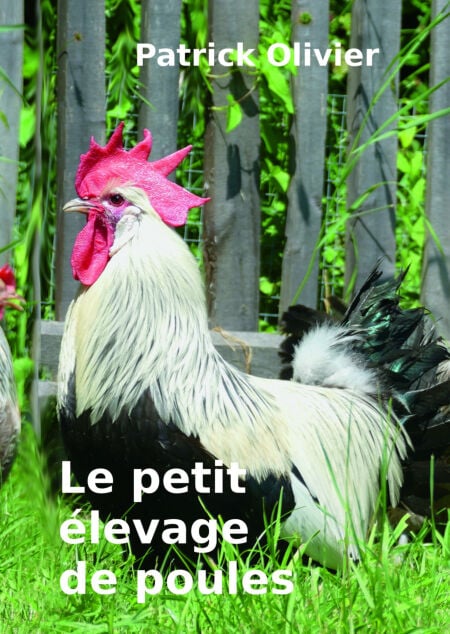 media/pim/6_6e950e0d-5db1-4cf0-808f-8d64cbca740f.jpeg