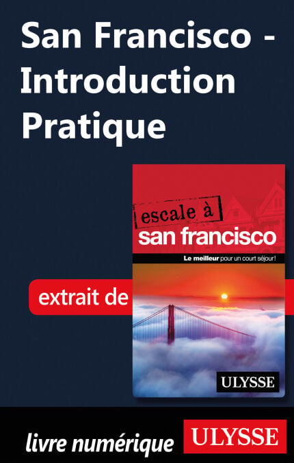 media/pim/6_b2bf264e-d126-4ebd-aefb-c478fb31fe2c.jpeg