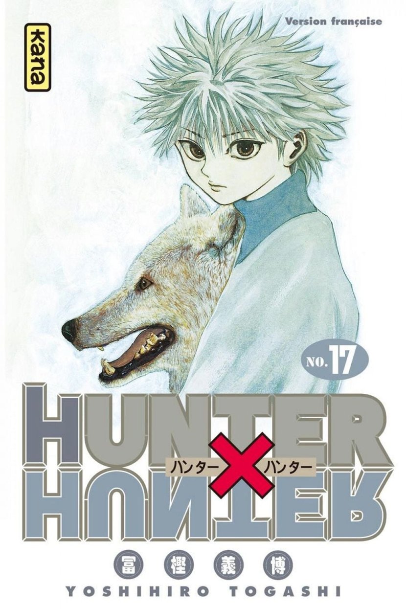 Hunter X Hunter - Tome 17 : Yoshihiro Togashi - 9782505044178 - Shonen  ebook - Manga ebook | Cultura