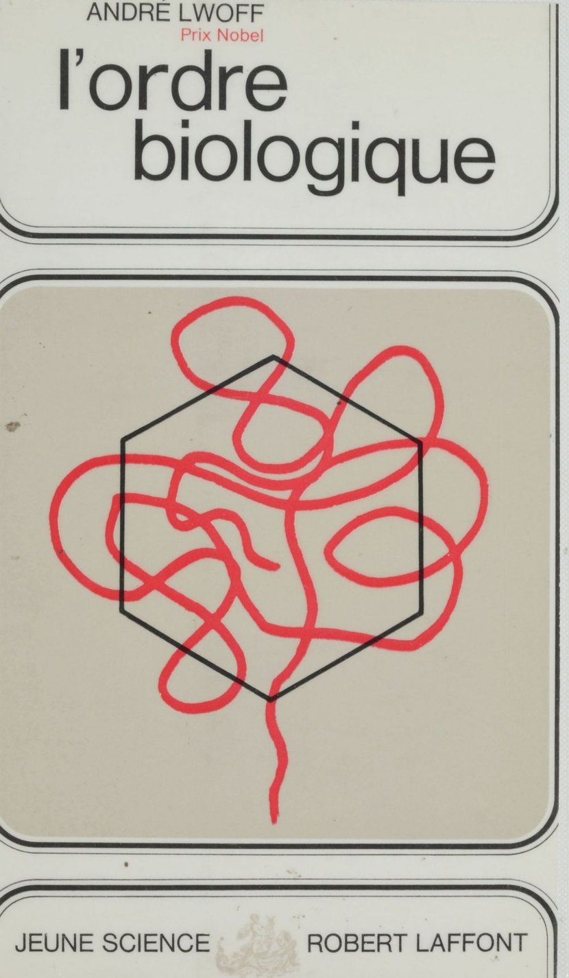 media/pim/6_metadata-image-19890071.jpeg