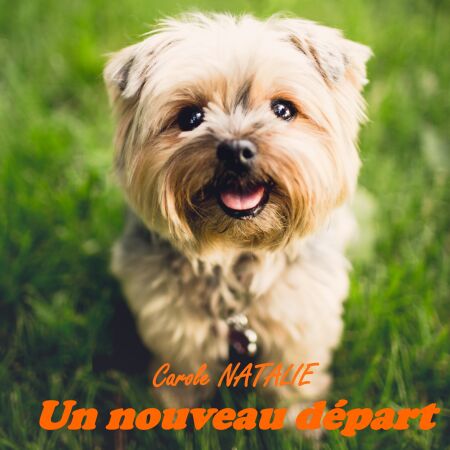 media/pim/6_metadata-image-36448227.jpeg
