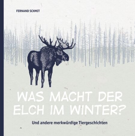 media/pim/6_metadata-image-38254347.jpeg