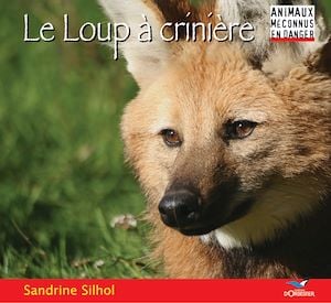 media/pim/6_metadata-image-42661046.jpeg
