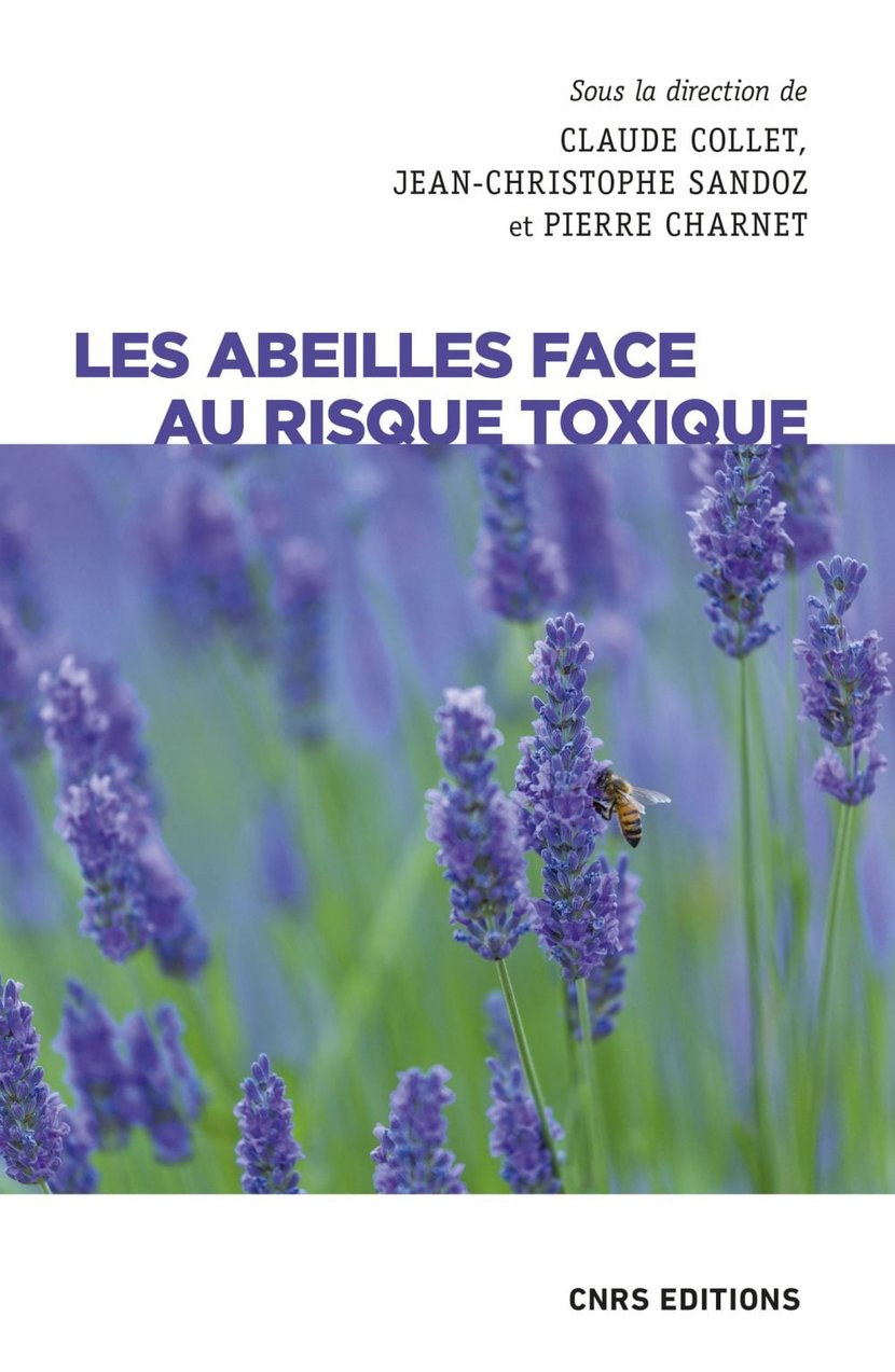 media/pim/6_metadata-image-60323408.jpeg