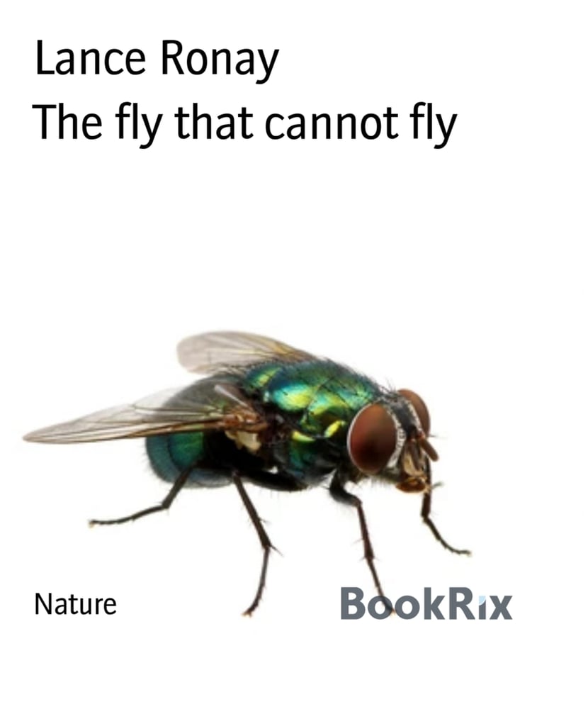 media/pim/6_metadata-image-66743059.jpeg