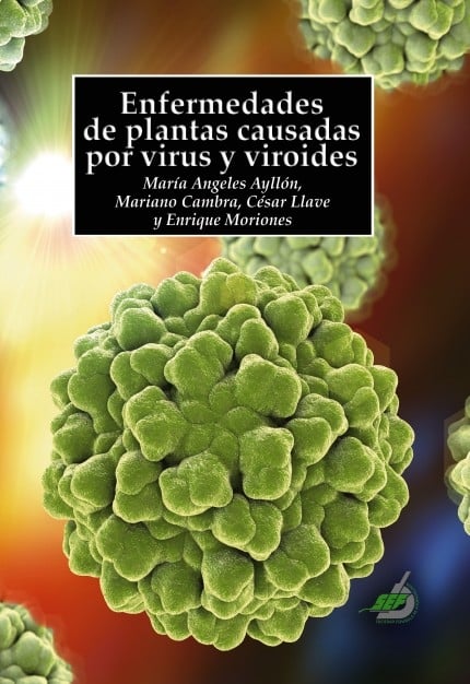media/pim/6_metadata-image-67605404.jpeg
