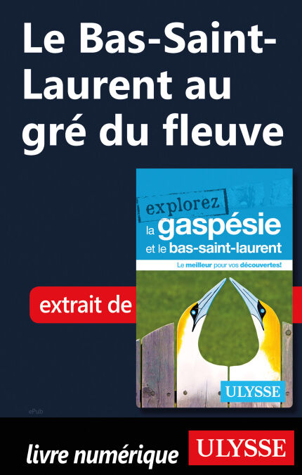 media/pim/70_753788b7-c80a-4c24-b629-7baa7a43e211.jpeg