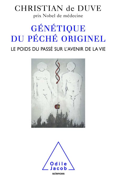 media/pim/70_7fc590cf-acae-47f8-a9f7-0eef005a9f3f.jpeg
