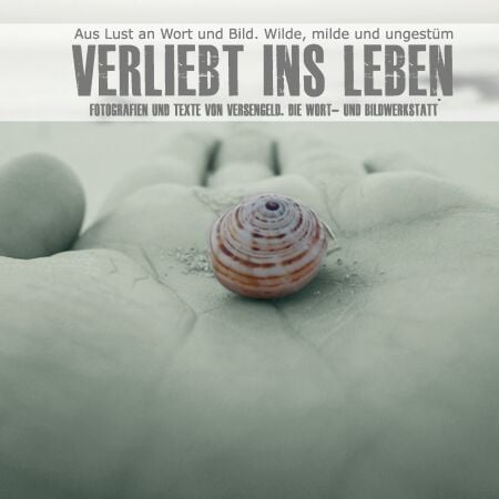 media/pim/70_metadata-image-22517078.jpeg