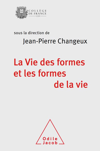 media/pim/70_metadata-image-35089170.jpeg
