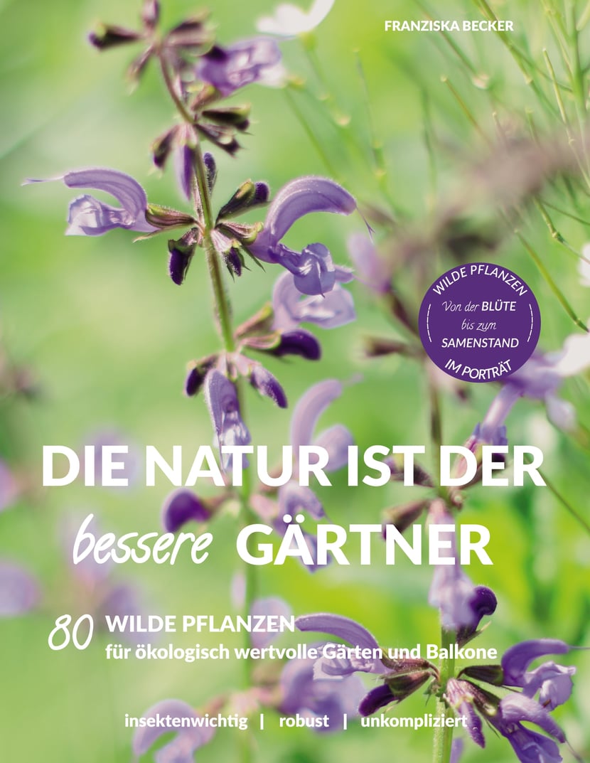 media/pim/70_metadata-image-38478934.jpeg