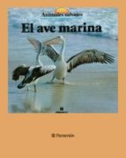 media/pim/70_metadata-image-67318776.jpeg
