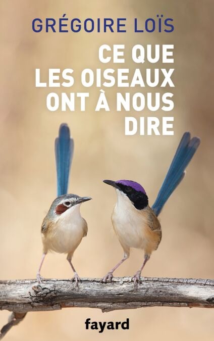 media/pim/71_75cc60a7-ae89-4e63-a5f4-5e9248157729.jpeg
