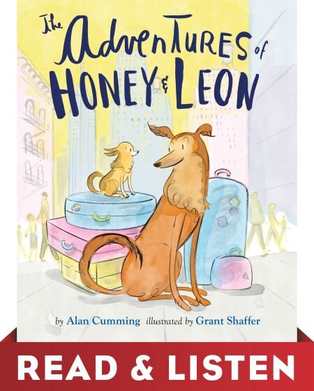 media/pim/71_cdfe2ac4-4499-461a-b70d-32c5bdac493f.jpeg