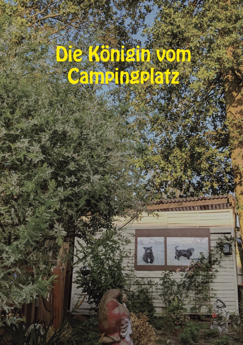 media/pim/71_metadata-image-57048946.jpeg