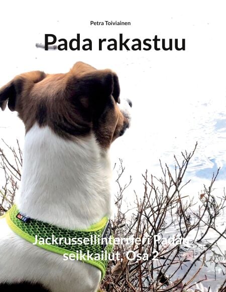 media/pim/71_metadata-image-68025654.jpeg