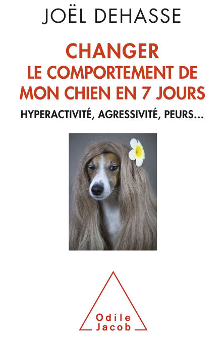 media/pim/72_5ccee35c-12cc-4c5b-a20b-54eef670a46b.jpeg