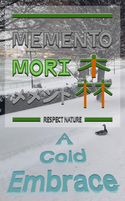 media/pim/72_b7c95ee4-534e-42cc-aef6-fc5227b04255.jpeg