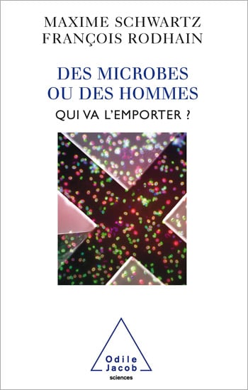 media/pim/72_metadata-image-35089691.jpeg