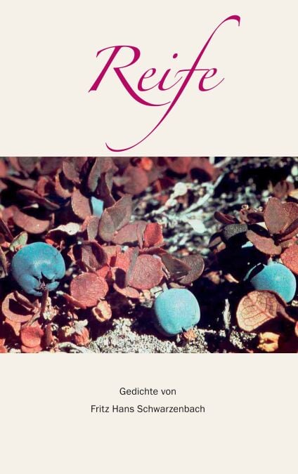 media/pim/72_metadata-image-70913802.jpeg