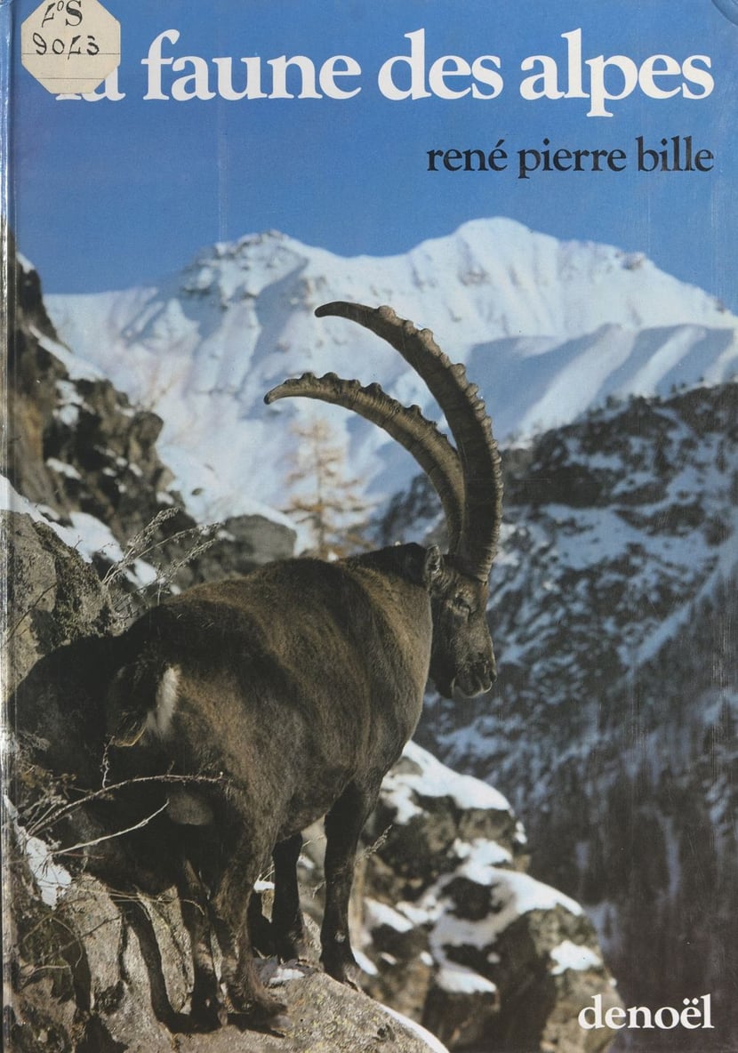 media/pim/74_metadata-image-24447050.jpeg